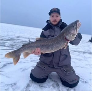 Meet your Posher, Hunter